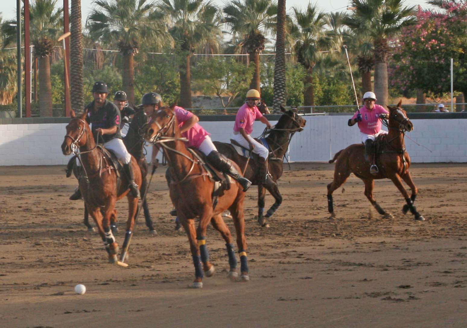 What is Arena Polo?