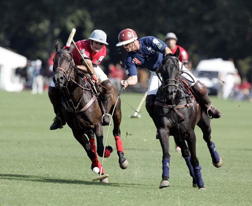 Learn more about the equestrian sport of polo …