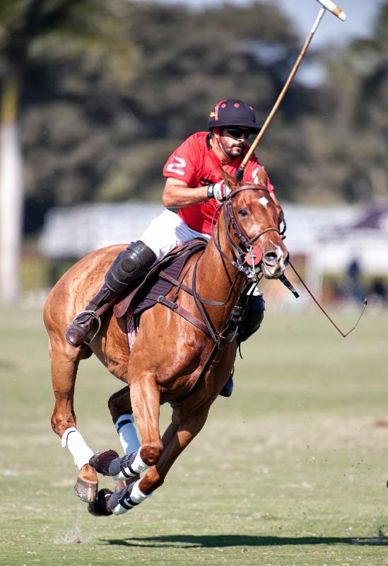 Grand Champions Polo Club News