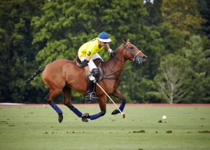 McLaren 7-goaler Joao Ganonsparked the rally that lifted McLaren past Turkish Airlines in East Coast Open action Sunday afternoon at the Greenwich Polo Club. (Photo by bob Lubash)