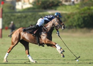 Lucchese 3-goaler Tete Grahn ws named MVP as his Lucchese team won the 2015 Gulfstream Pacific Coast Open Championshiop at the Santa Barbara Polo Club Sunday afternoon. (Photo by David Lominska)