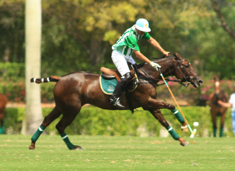 Orchard Hill and Valiente 0-2 after second round of USPA Gold Cup play; Audi, Dubai and Lucchese, 2-0