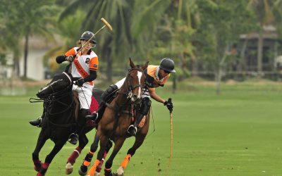 What is Polo?